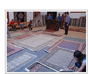 Carpets and Rugs