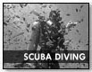 SCUBA DIVING