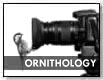 ORNITHOLOGY