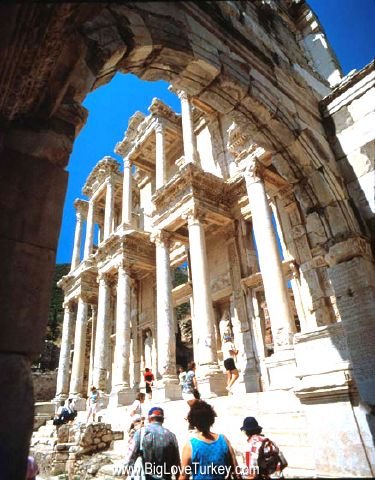 celcuslibrary3.jpg