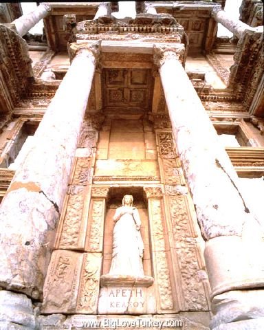 celcuslibrary6.jpg