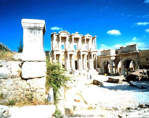 celcuslibrary7.jpg