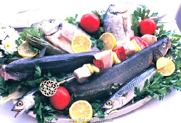 cuisine6.jpg