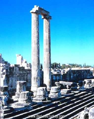 didyma.jpg