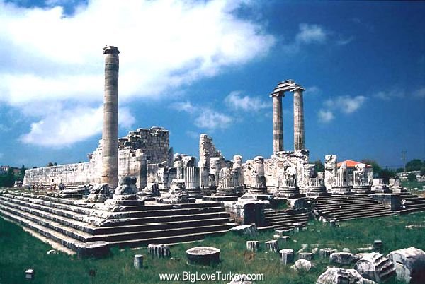 didyma1.jpg