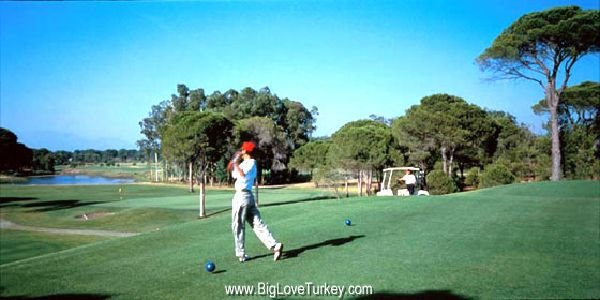 golfing2.jpg