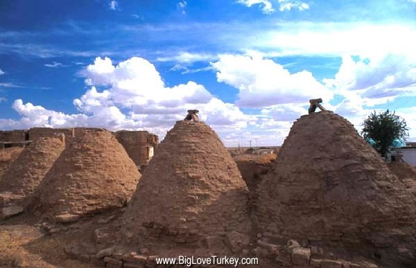 harran1.jpg