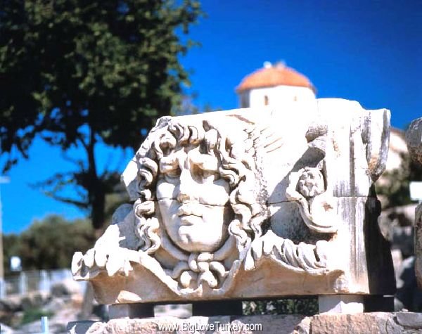 medusa1.jpg