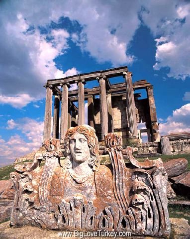 zeus.jpg