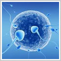 fertility treatments